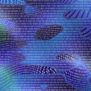 “Orizzonti”: gli Editoriali dell’OSD – Numero 11, marzo 2025 – Imperi digitali: aspettando l’umanesimo europeo